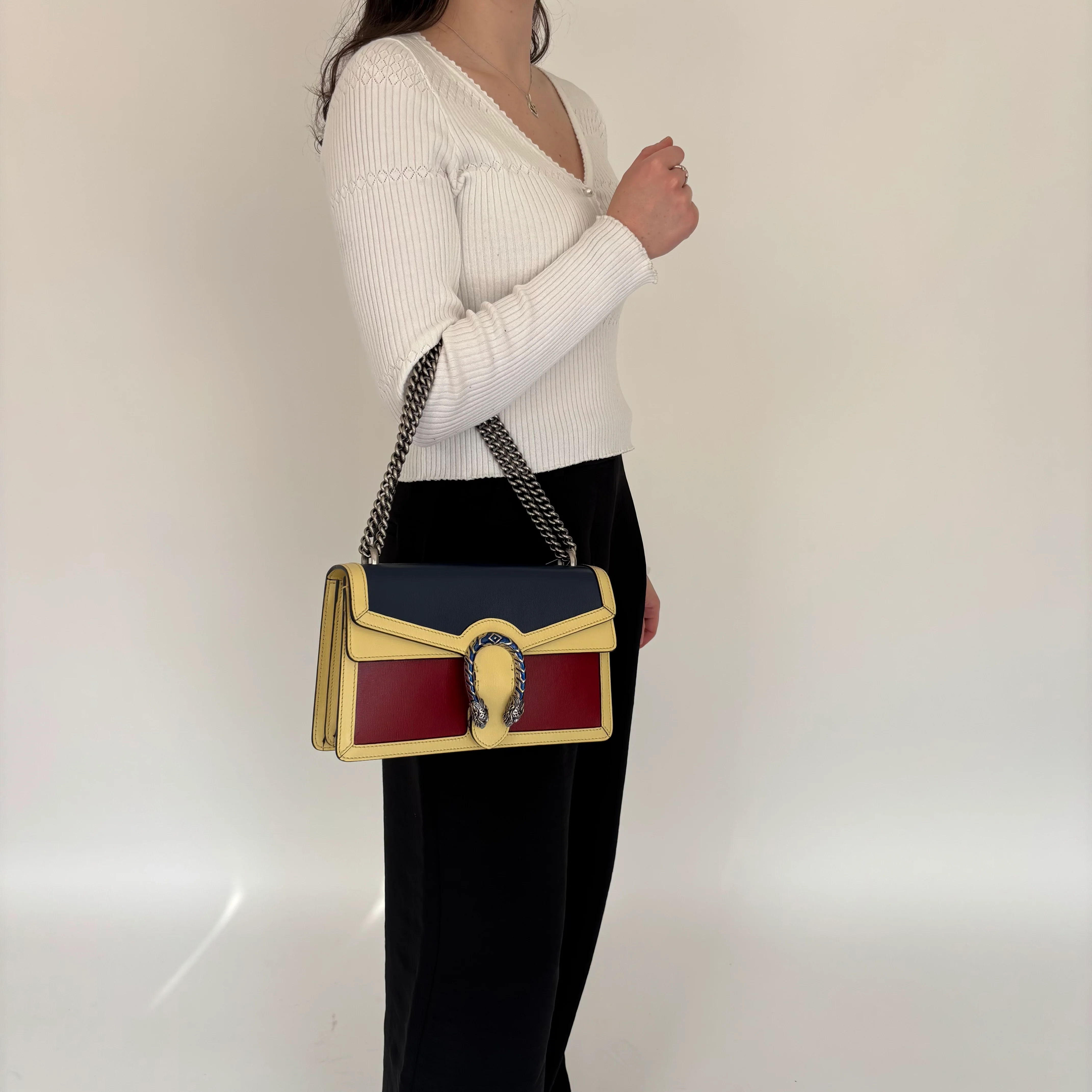 Gucci Dionysus Ltd Colour Block Small - Image 2